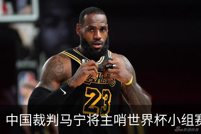 中国裁判马宁将主哨世界杯小组赛第二轮比赛