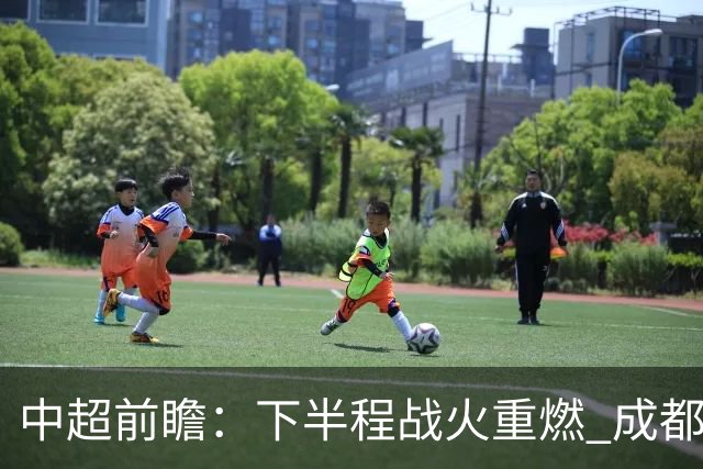 中超前瞻：下半程战火重燃 成都剑指三分申花求反弹