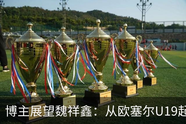 博主展望魏祥鑫：从欧塞尔U19起步，逐渐适应后在B队获得稳定机会